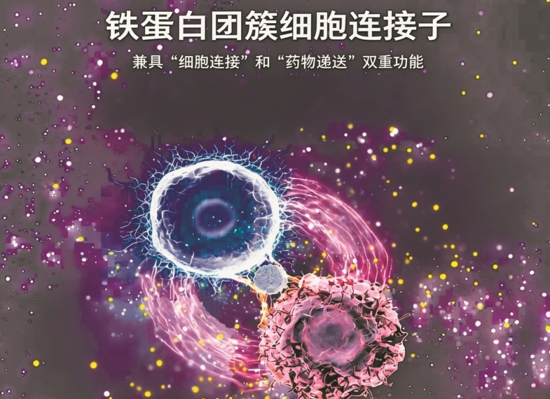 “精准导弹”治疗白血病威力倍增